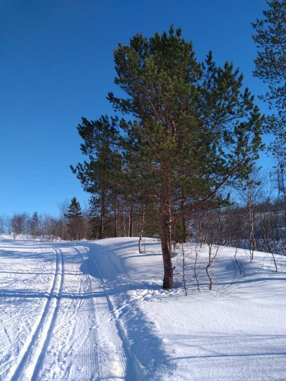 Мини-отель Полярный круг Мурманск-12