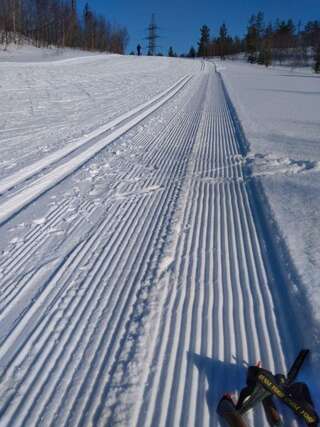 Мини-отель Полярный круг Мурманск-2