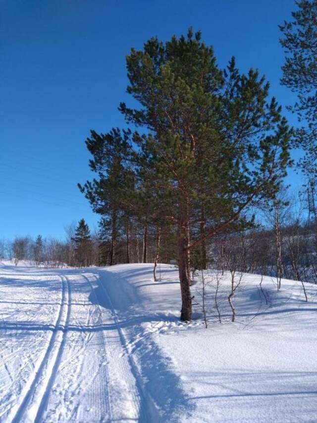 Мини-отель Полярный круг Мурманск-11